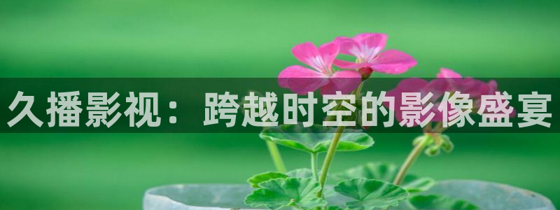 午夜伦理影院在线观看