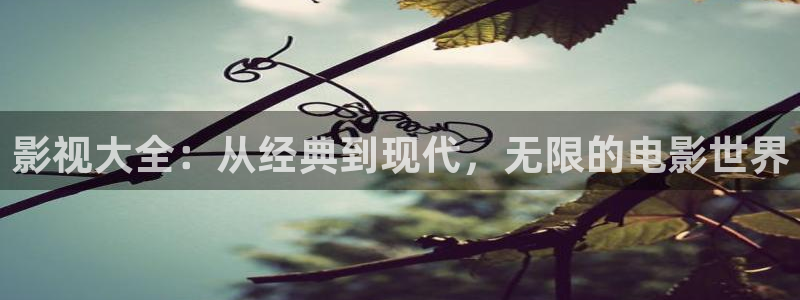 6080午夜伦理影院