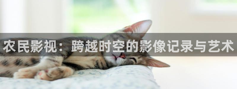 我不卡伦理影院